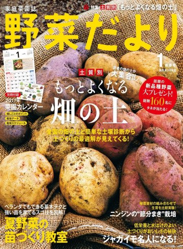 野菜だより2017年1月号 