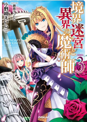 境界迷宮と異界の魔術師 3