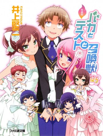 バカとテストと召喚獣 12.5 