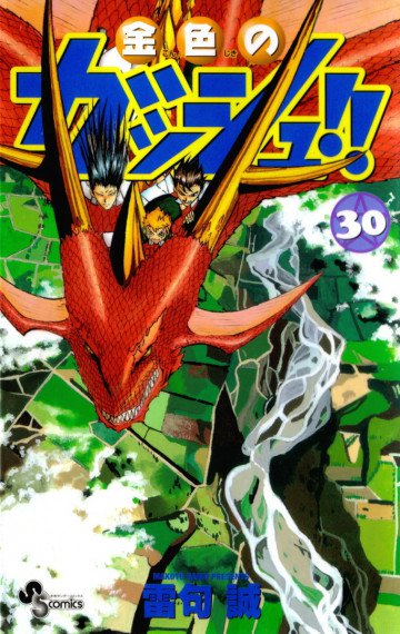 金色のガッシュ!! 30
