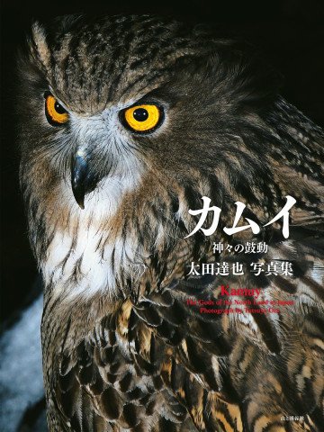 太田達也写真集 カムイ 神々の鼓動 