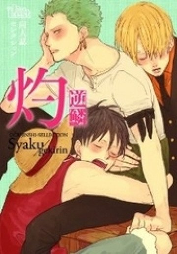 同人誌セレクション 灼 