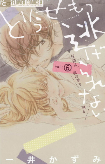 どうせもう逃げられない 6