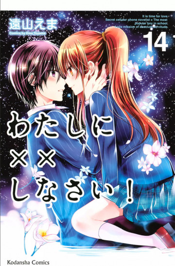 わたしに××しなさい! 14