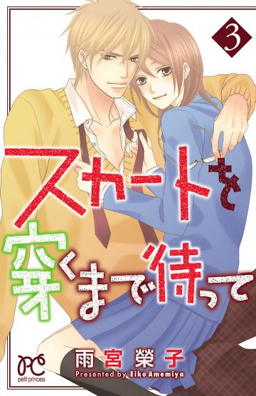 スカートを穿くまで待って 3