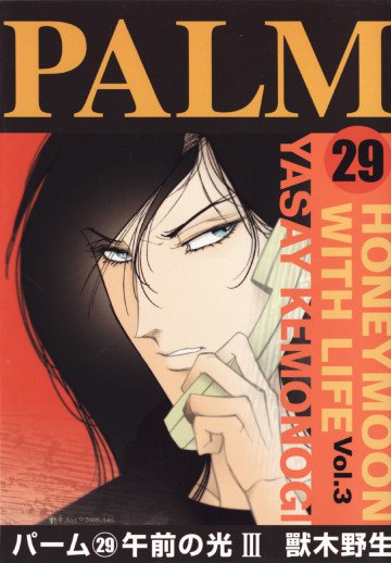 パーム 29