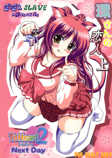 環さんの恋人上 改定版 