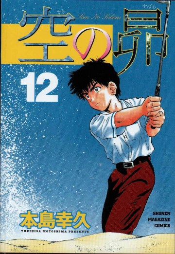 空の昴 12