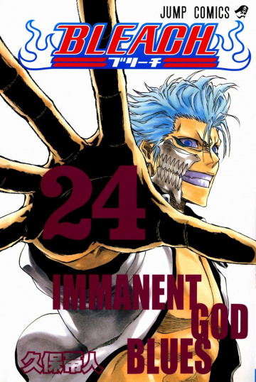BLEACH モノクロ版 24
