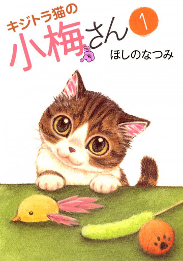 キジトラ猫の小梅さん 1