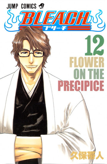 BLEACH モノクロ版 12