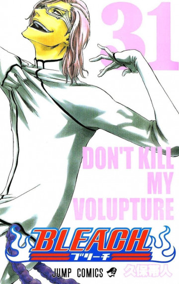 BLEACH モノクロ版 31
