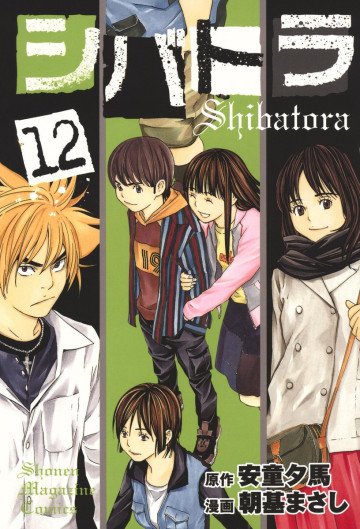 シバトラ 12