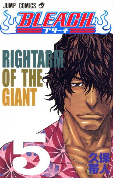 BLEACH カラー版 5