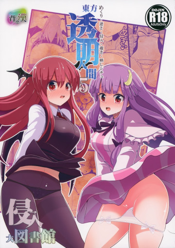 東方透明人間5 侵入大図書館