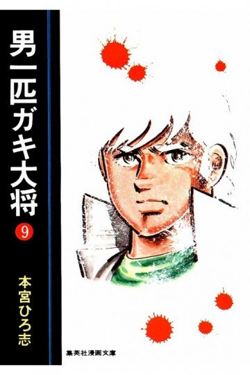 男一匹ガキ大将 9