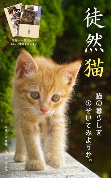 徒然猫 猫の暮らしをのぞいてみようか 
