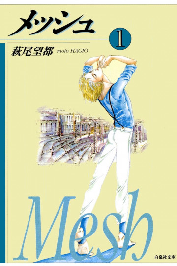 メッシュ 1