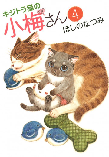 キジトラ猫の小梅さん 4