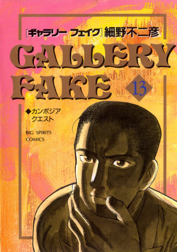 GALLERY FAKE 13