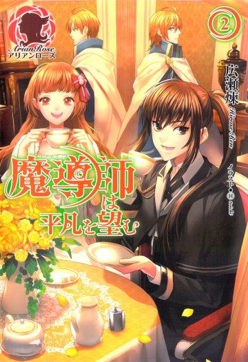 魔導師は平凡を望む 2