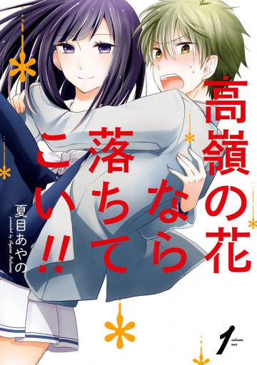 高嶺の花なら落ちてこい!! 1