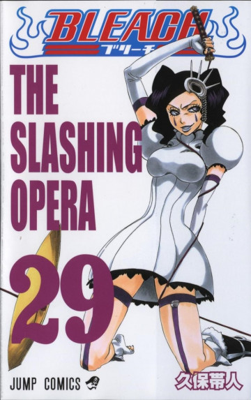 BLEACH モノクロ版 29