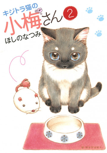 キジトラ猫の小梅さん 2