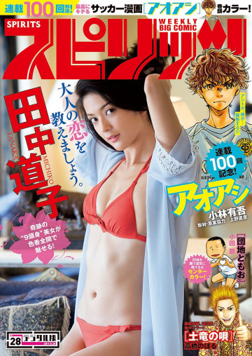 週刊ビッグコミックスピリッツ 2017年28号 