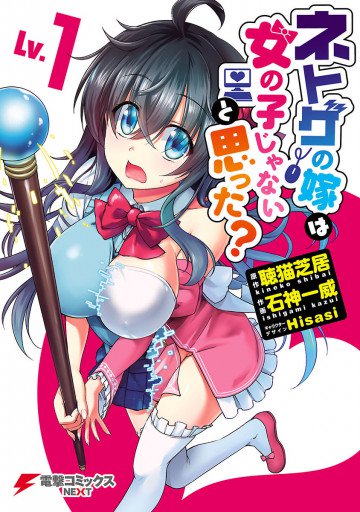 ネトゲの嫁は女の子じゃないと思った? 1