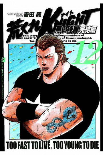 荒くれKNIGHT 黒い残響完結編 12