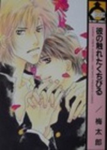 彼の触れたくちびる 