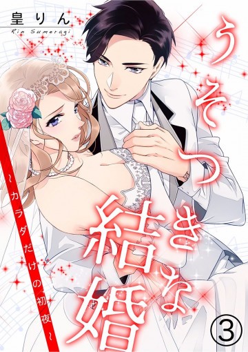 うそつきな結婚～カラダだけの初夜～ 3
