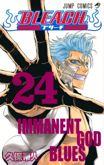 BLEACH カラー版 24