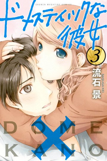 ドメスティックな彼女 3