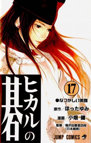 ヒカルの碁 17