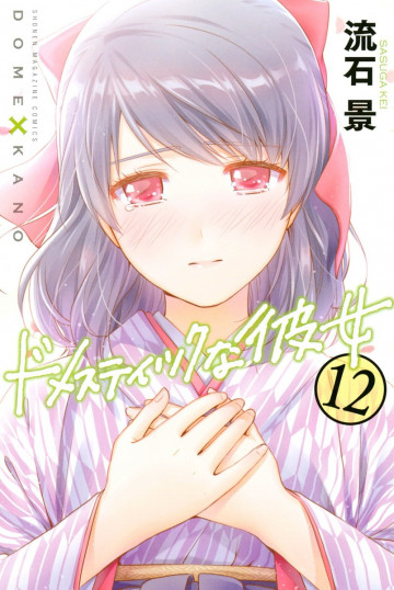 ドメスティックな彼女 12