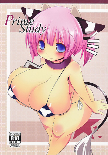 Prime study 