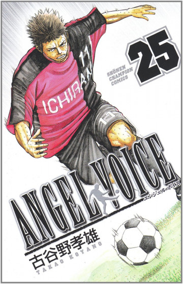 ANGEL VOICE 25