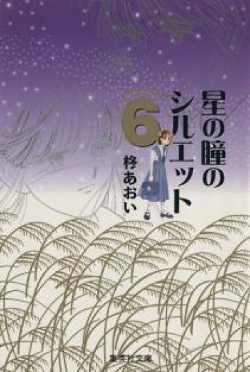 星の瞳のシルエット 6