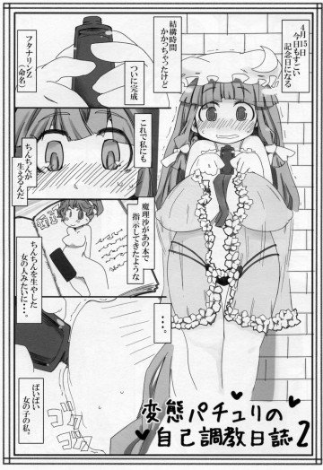 変態パチュリのセルフ調教日誌2 