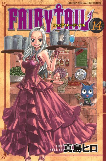 FAIRY TAIL 14
