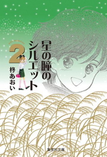 星の瞳のシルエット 2