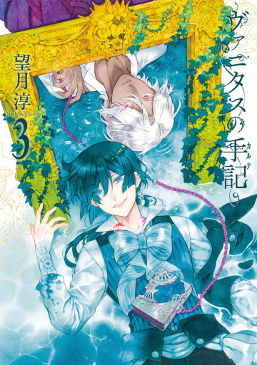 ヴァニタスの手記 3