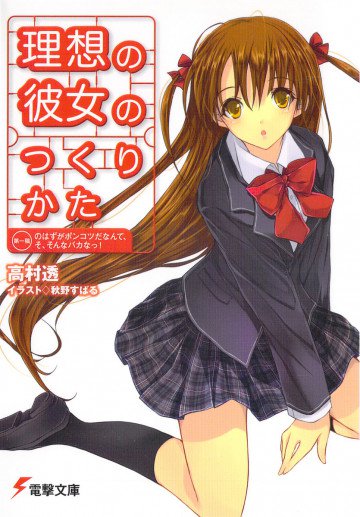 理想の彼女のつくりかた 1