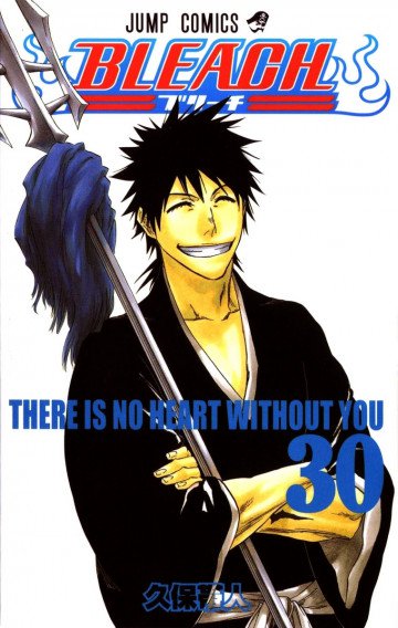 BLEACH モノクロ版 30