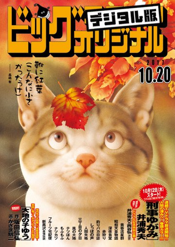 ビッグコミックオリジナル 2017年20号 