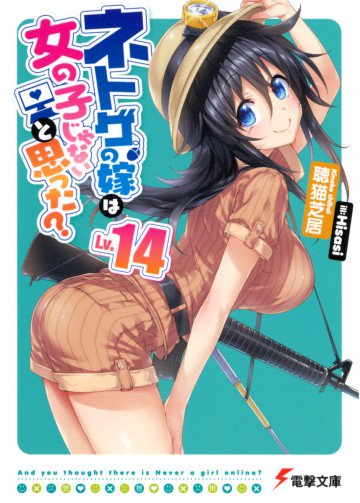 ネトゲの嫁は女の子じゃないと思った? 14