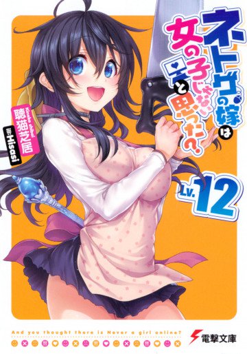 ネトゲの嫁は女の子じゃないと思った? 12