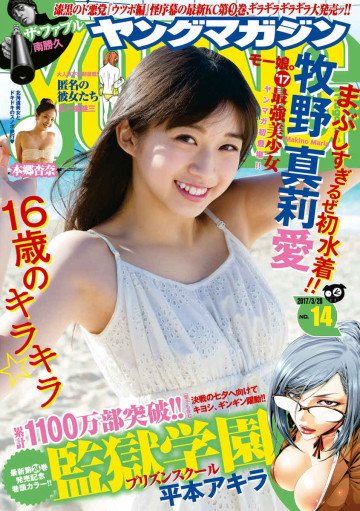 ヤングマガジン 2017年14号 